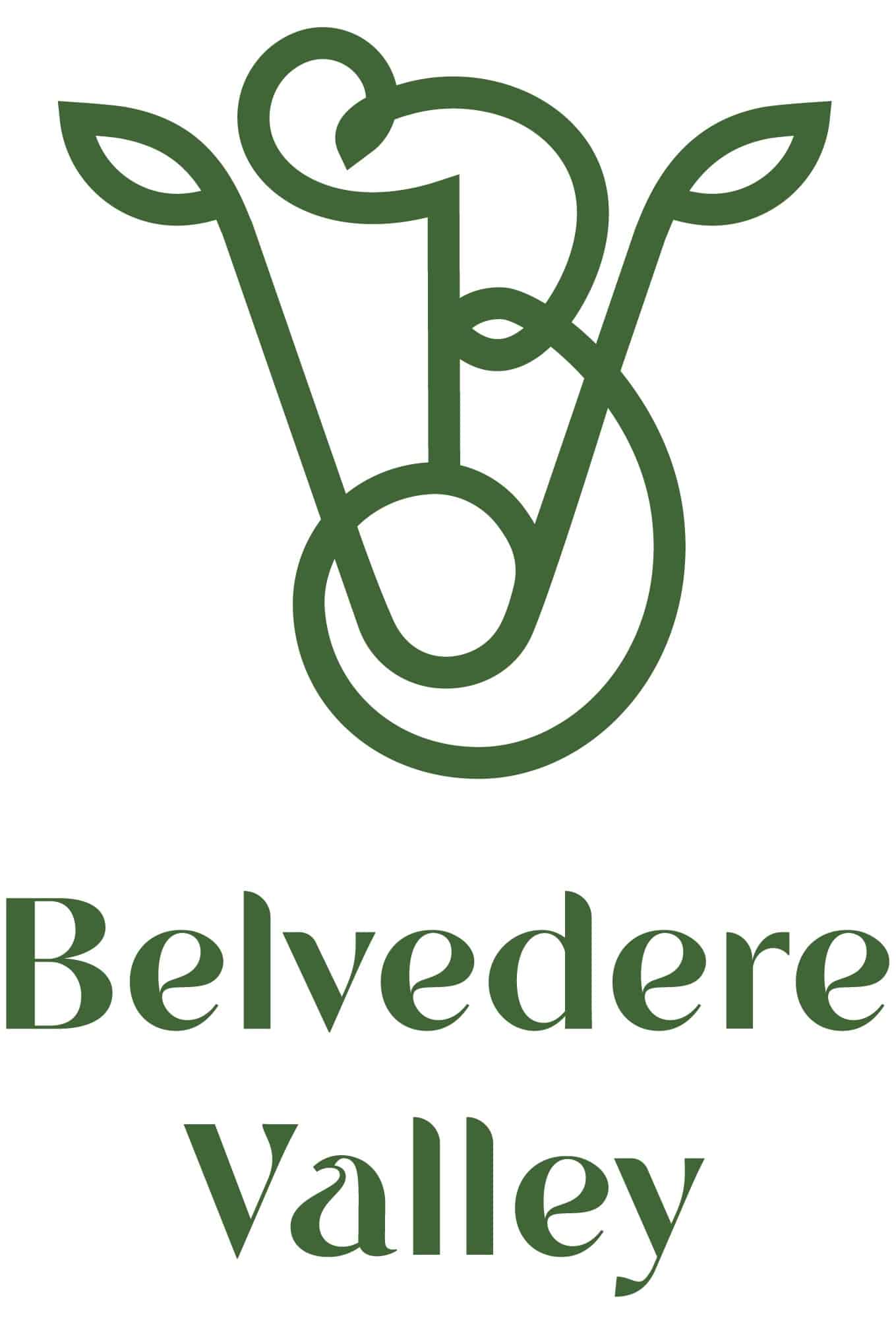 Belvedere Valley Grass Fed Wagyu Beef